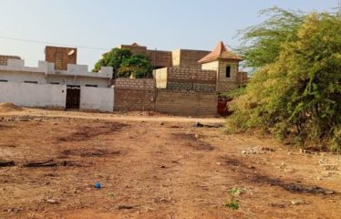 SOMONE : Magnifique terrain de 1200 m² à vendre