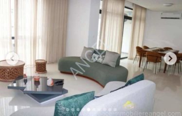 DAKAR POINT-E : Appartement meublé à louer au point E