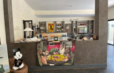 NGAPAROU : Magnifique villa à vendre à Ngaparou