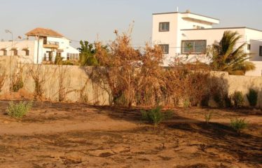 SALY : Terrain à vendre à saly quartier Dimantine