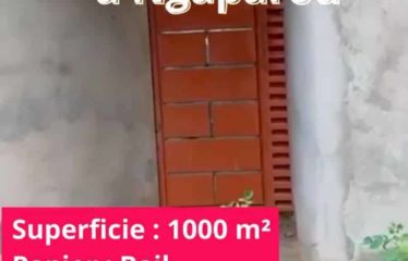 NGAPAROU : Terrain à vendre 1000 m