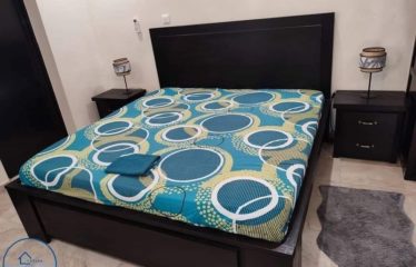 SALY : Appartement meublé au 1er étage à Saly Darou Salam