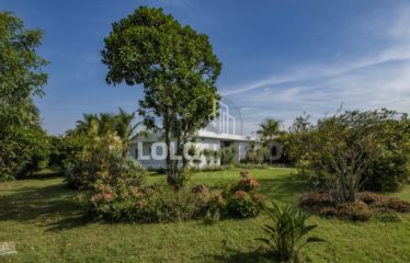 NGUERIGNE : Villa plain pied de 5 chambres sur un terrain de 5 838 m2 à vendre