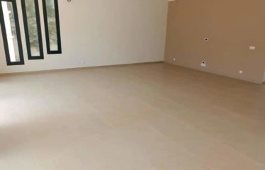 SOMONE : Villa contemporaine neuve de 5 chambres avec piscine à vendre