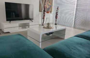 SALY : Maison neuve meublée avec piscine à vendre