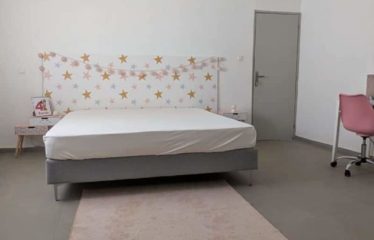 SALY : Maison neuve meublée avec piscine à vendre