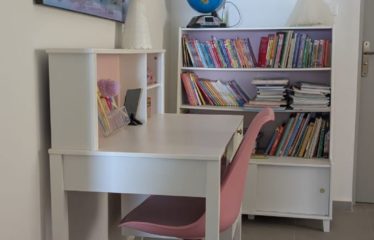 SALY : Maison neuve meublée avec piscine à vendre