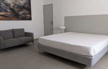 SALY : Maison neuve meublée avec piscine à vendre