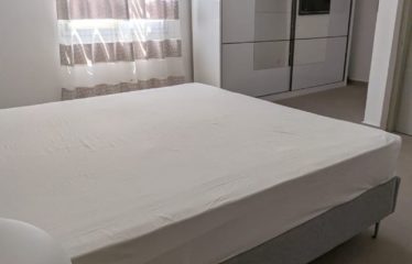 SALY : Maison neuve meublée avec piscine à vendre