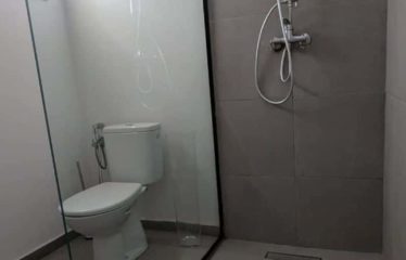 SALY : Maison neuve meublée avec piscine à vendre