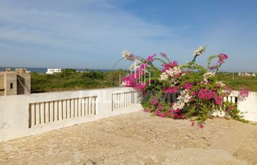 NDAYANE : Originale propriété composée de 2 villas jumelées face à l’océan à vendre