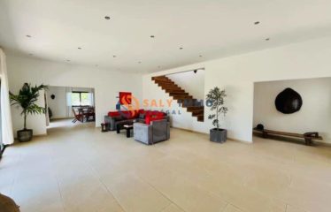 NGAPAROU : Magnifique villa à vendre