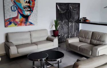 SINTHIANE : Villa contemporaine plain pied 4 chambres et son studio avec piscine à vendre