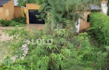NIANING : Villa 6 chambres de 300 m2 avec piscine à vendre