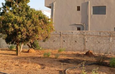 NGAPAROU : Terrain de 600m2 à vendre à Ngaparou