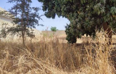 NGAPAROU : Terrain clôturé de 1000 m2 en 1ère position de la route