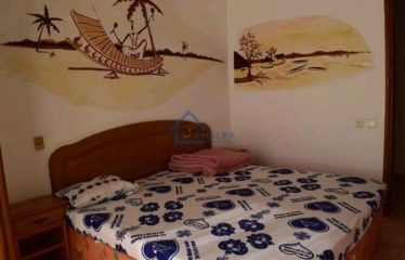 SALY : Immeuble Residence à vendre