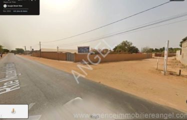 NGUERIGNE : Terrain de 1246 m² à vendre