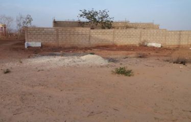 TOUBAB DIALAW : Terrain à vendre