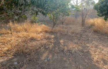 NGAPAROU : Terrain bord de route 5 062 m2 à vendre BT276
