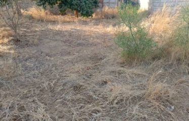 NGAPAROU : Terrain bord de route 5 062 m2 à vendre BT276