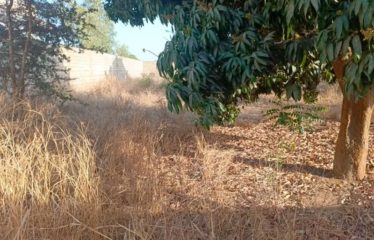 NGAPAROU : Terrain bord de route 5 062 m2 à vendre BT276