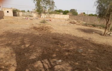 NGUERIGNE : Terrain de 1 280 m2 à vendre