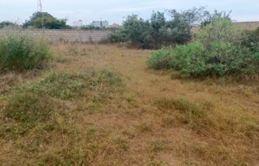 SALY : Terrain à vendre 1500 m2