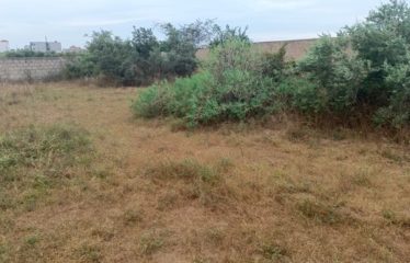 SALY : Terrain à vendre 1500 m2