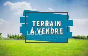 NGAPAROU : Terrain de 8 515 m2 à vendre