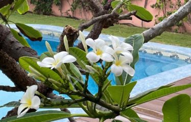 DAKAR NGOR : Très belle villa au Virage Pied dans l’eau avec piscine et vue sur mer