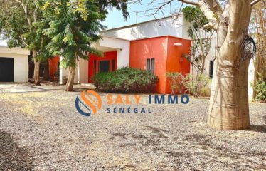 SALY : Villa à louer avec studios indépendants