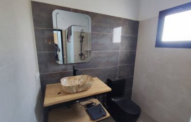 SOMONE Villa contemporaine avec piscine à vendre