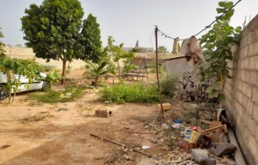 NGAPAROU : Terrain de 1 135 m2 à vendre