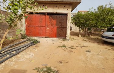 NGAPAROU : Terrain de 1 135 m2 à vendre