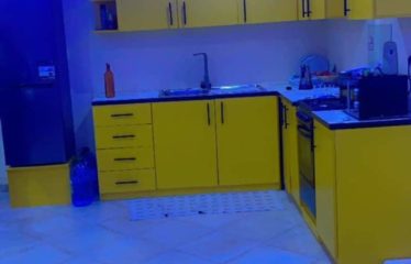 SALY : Appartement T3 avec piscine à louer