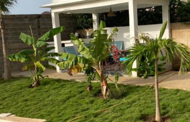 SALY : Appartement T3 avec piscine à louer