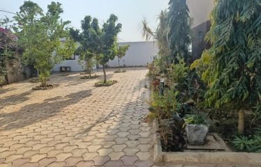 SALY : Appartement T3 avec piscine à louer