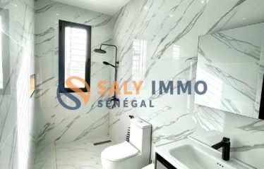 NGAPAROU : Magnifique villa R+1 à vendre à Ngaparou