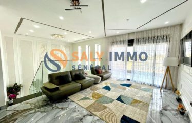NGAPAROU : Magnifique villa R+1 à vendre à Ngaparou