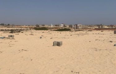 TIVAOUANE PEULH : Terrain à vendre à tivaoune peulh