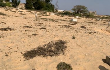 KAYAR : Terrains à vendre à Kayar/Niokhob