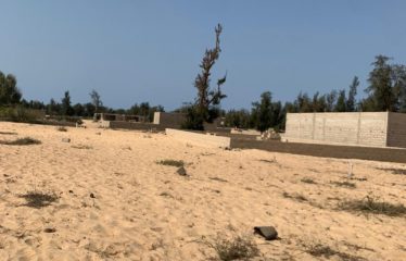 KAYAR : Terrains à vendre à Kayar/Niokhob