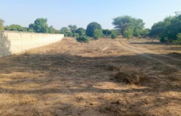 NGUERIGNE : Terrain de 22000m2 à vendre