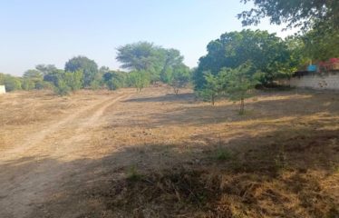 NGUERIGNE : Terrain de 22000m2 à vendre
