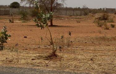 GUÉRÉO : Terrain à vendre 270m2