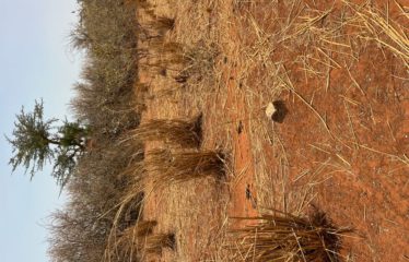 GUÉRÉO : Terrain à vendre 270m2