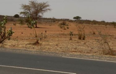 GUÉRÉO : Terrain à vendre 270m2