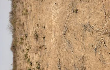 DIAMNIADIO : Terrain angle Dougar Diamniadio