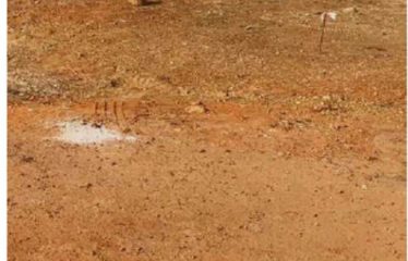 DAKAR ALMADIES : Terrains Almadies 250 m2 à vendre